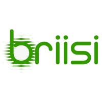 Briisi Africa logo - Similar company to Bayo Speaks