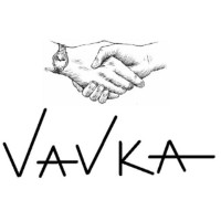 VAVKA GÜVENLİK SİSTEMLERİ logo - Similar company to Önder Zaman Kontrol Ve  Güvenlik Sistemleri
