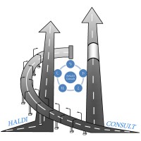 HALDI Consult LLC logo - Similar company to Ag Factor