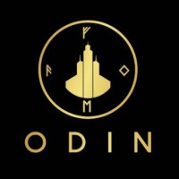 Odin Capital logo - Similar company to The Baseline Experience