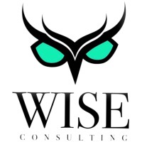 WISE Consulting logo - Similar company to Cyber Wise Consulting