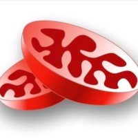 The Mitochondria Research and Medicine Society logo - Similar company to Mitosense, Inc.