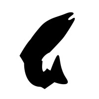 Fish Run Games Sia