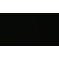 Zone logo - Similar company to Philthy Philly'S