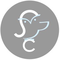 School-Connection logo - Similar company to Chess Arena