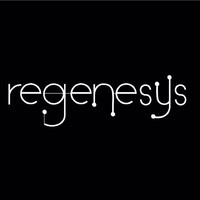 Regenesys Technologies logo - Similar company to Computer Technologies Pvt. Ltd. (Ctpl)