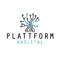 Plattform Haslital logo - Similar company to Einwohnergemeinde Meiringen