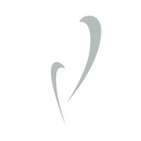 SAN LUCIO WEDDING SRL logo - Similar company to 4Events