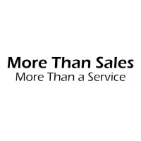 More Than Sales logo - Similar company to Retrix