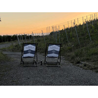 Weingut Graf Adelmann logo - Similar company to Dreem