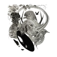 Terre de Chasse - Salon de la chasse logo - Similar company to Vudailleurs.Com