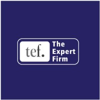The Expert Firm logo - Similar company to The Expert Global Solutions