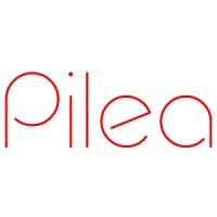 Pilea LLC logo - Similar company to Construct Ge - ქონსთრაქთ ჯი