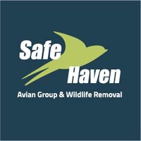 Safe Haven Avian Group & Wildlife Removal logo - Similar company to Ryan Pest Consulting