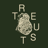 TREUST ARCHITECTURE logo - Similar company to Light Architecture