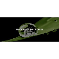 Licorne Technologies logo - Similar company to Prodwrks