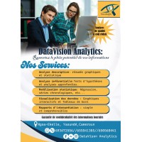 Datavision Analytics logo - Similar company to Only Source