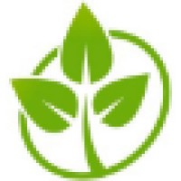 Carpet Care Asia