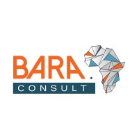 Bara Consult logo - Similar company to Denith Africa