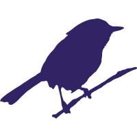 Newtonia Designs