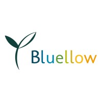 Bluellow