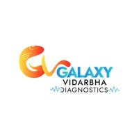 Galaxy Vidharbha Diagnostics logo - Similar company to Rds Staffing Services