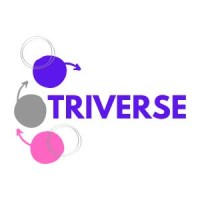 Triverse South Africa logo - Similar company to Odek Technologies