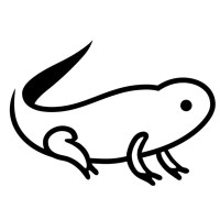 The Tadpole Experiment logo - Similar company to Leverage