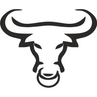 TechnoBullz Business Solutions Pvt Ltd logo - Similar company to Technobull India
