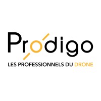 Prodigo logo - Similar company to Prodroner