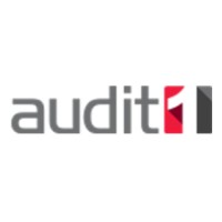 Audit1 logo - Similar company to Zprime Technologies