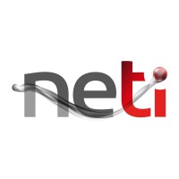 Neti Mx logo - Similar company to Wegshine