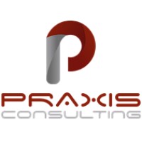 PRAXIS ICT Consulting logo - Similar company to C Behind