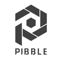 PIBBLE logo - Similar company to Castello Coin