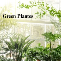 Green Planet logo - Similar company to Concept Pharmatech Machinery
