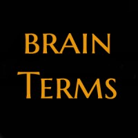 From Innovation Strategy to Delivery logo - Similar company to Brainterms.Ai