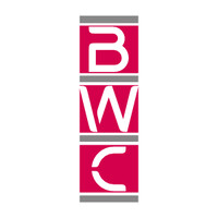 Berry Wise Consulting LLC logo - Similar company to Backstory Ai