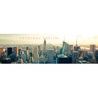 Prodigal Capital logo - Similar company to Solutions First