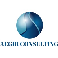 AEGIR CONSULTING AB logo - Similar company to Winna Fastighet Ab