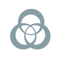 Arnera Consulting logo - Similar company to Nateo Group