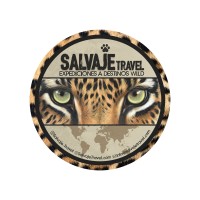 SALVAJE TRAVEL logo - Similar company to Connect Reps