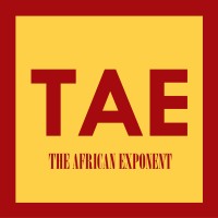 The African Exponent logo - Similar company to Pragmapreneur