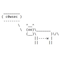 c0wsec logo - Similar company to React0R.Com