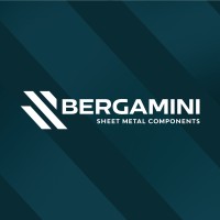 Bergamini Srl logo - Similar company to The Bergamini Group - Keller Williams Arizona Realty