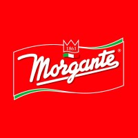 MORGANTE SRL logo - Similar company to Voom