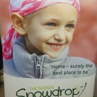 The Sussex Snowdrop Trust logo - Similar company to Aibō