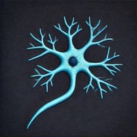 Gradient Momentum LLC logo - Similar company to Leadership Reality