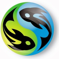 Aquaculture Systems International logo - Similar company to Electric Works Inversiones Limitada