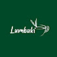 Lumbuki_media logo - Similar company to Éthique Et Tac!