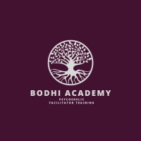 Bodhi Academy logo - Similar company to Doc Hypnosis